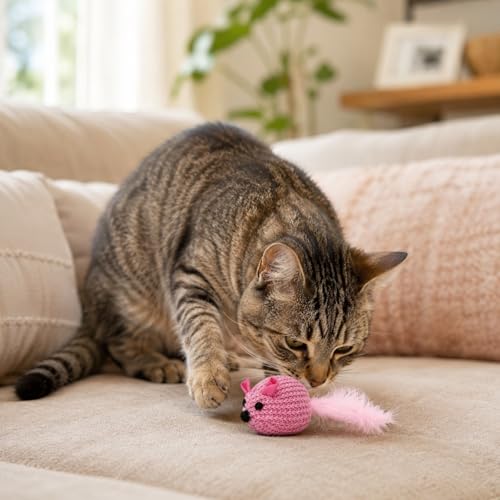 Juguete para gatos con plumas que elimina el estrés y protege tus muebles de arañazos 7