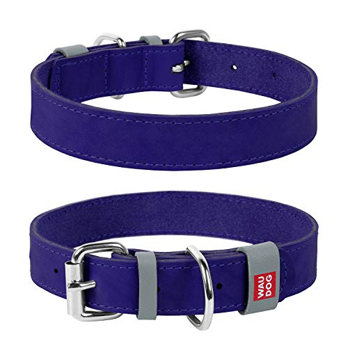 Halsband WAU Dog Classic Leder Hund für kleine Hunde, mittelgroße Hunde, große Hunde | bestes Leder für Hunde, L- 1 1/2' Width X 18 1/4' - 33 1/2' Length, violett