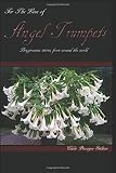 For The Love of Angel Trumpets: Stories from around the world