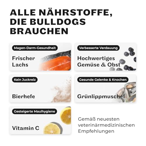 HEY HOLY Set 7 kg Premium Trockenfutter & 1 x 150 g Snacks für Bulldoggen 100% getreidefrei | Hundefutter & Leckerlis für ausgewachsene Bulldoggen mit Lachs | Hochverträglich aus natürlichen Zutaten