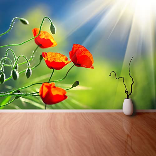 Papier peint coquelicots masquez les imperfections murales avec ce décor auto-adhésif - 5