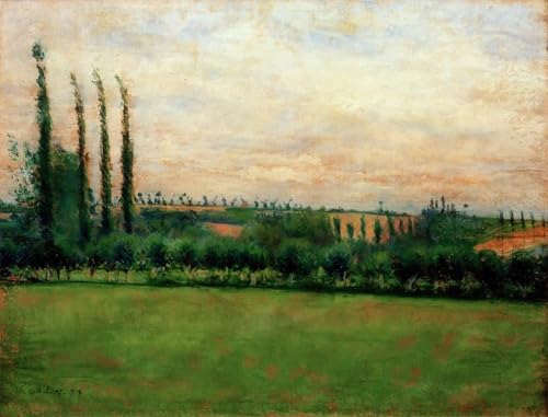 Tableau Prairie Gustave Caillebotte impression d'art pour masquer les imperfections murales