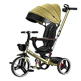 Baby Stroller Children's Tricycle Collapsible Lightweight Children's Bicycle Does Not Need To Be Installed Cup Holder Adjustable Pram Compact Stroller (Color : C)