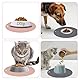 2 Stück Napfunterlage Katzen Rund, 24cm Silikonmatte Hundenapf, Futternapf Unterlage rutschfest Matte Katzenfutter, Topflappen, Futterunterlage Hund für Mittlere und Kleine Haustiere