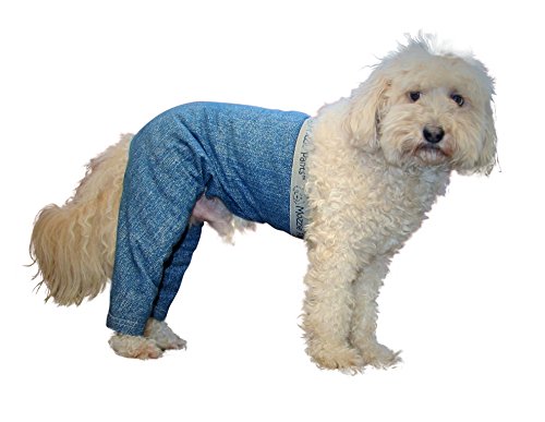 Mozzie Pants Walking Dog Pants, E-Collar Alternative, Dog Pajamas, Small Dog, Blue - Thumbnail 5