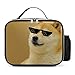 Aeoiba Funny Sunglsses Cool Doge Lunch Box with Padded Liner, Spacious Insulated Lunch Bag, Durable Thermal Lunch Cooler Pack for Boys Men Women Girls Adults