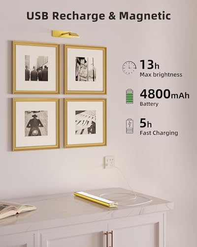 EZVALO Picture Light for Wall, 4800mAh Rechargeable Wireless Lights, 16'' Dimmable IR Remote Magnetic LED Art Painting Light with 3 Color Temps, Display for Gallery, Living Room, Bedroom(Gold)