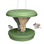 Bird Feeders Hanging Station - Davos - Smart Bird Feeder - No Mess Bird Seed - Seed Tray - Gardening Gifts - Bird Watching Gifts - Bird Table - Robin Food - Blackbird