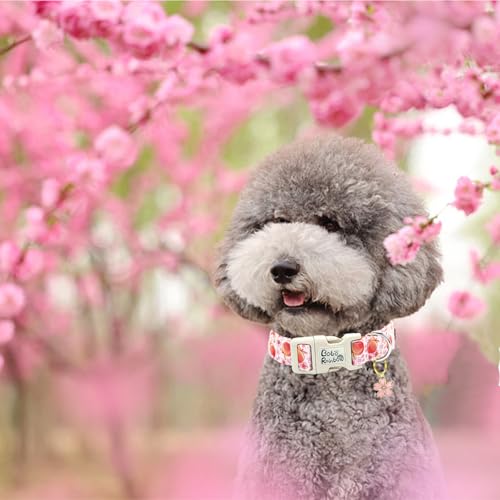 Image of Pink Peach Print Dog Collar with Bow for Large Dogs | Daily Walks,Garden Photoshoots,Spring Picnic,Adjustable,Cotton,Removable Bowtie,Heavy Duty Metal Buckle,Female Dog