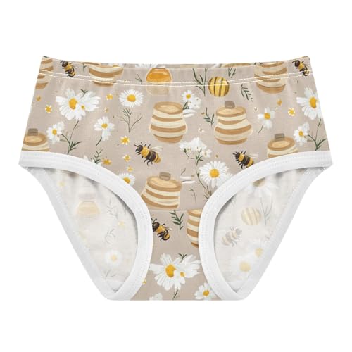 Wusikd Beehives Honey Girls' Underwear Cotton Daisy Girls Briefs Soft Toddler Underwear 2T