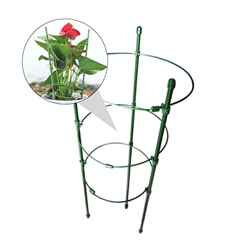 Cage de support pour plantes grimpantes HANABASS tuteur fer extérieur fleurs fruits - 5