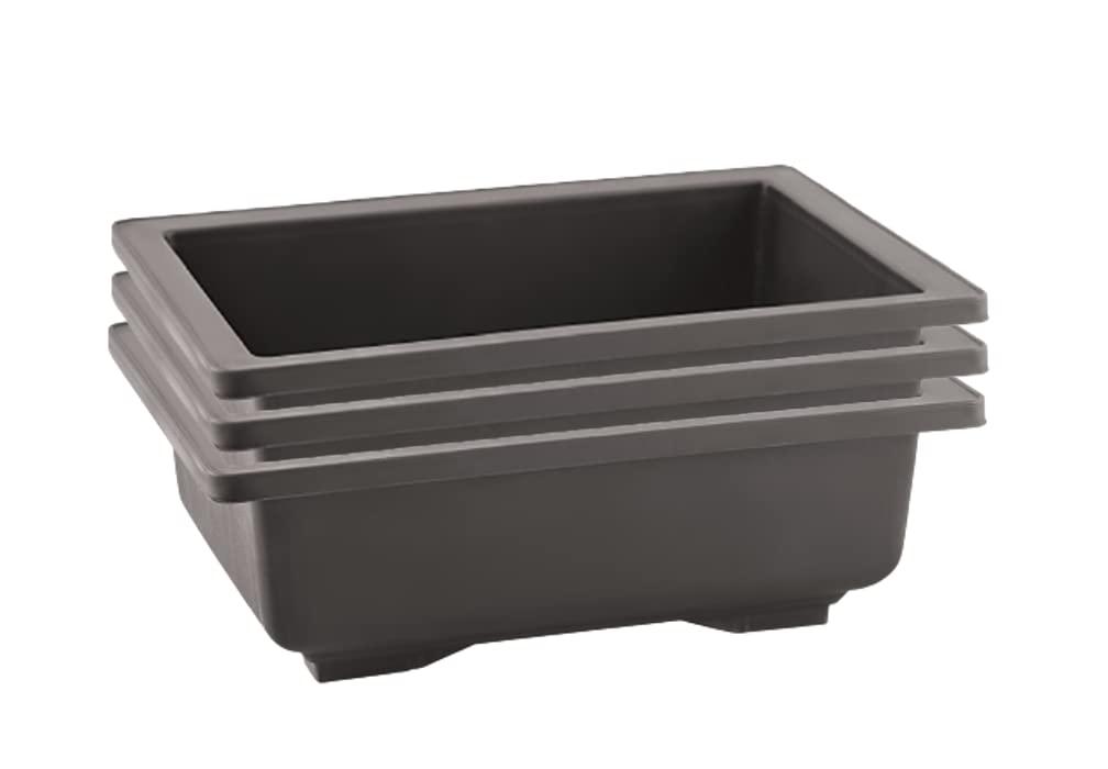 See full amazon price history chart for SHOPATHON INDIA Black Rectangle Shallow Premium Plastic Bonsai Species Tree Plantation Pot for Dwarf Umbrella Ficus Adenium Jade Maple Snow Rose Plants - 12 Inch 3 Pots SHOPATHON INDIA Black Rectangle Shallow Premium Plastic Bonsai Species Tree Plantation Pot for Dwarf Umbrella Ficus Adenium Jade Maple Snow Rose Plants - 12 Inch 3 Pots (B09PGCN85H) Amazon Price History, Amazon Price Tracker