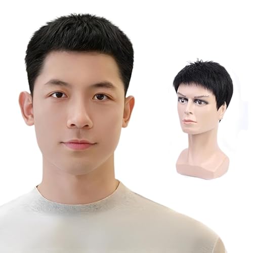 IXYPHALM YEBbO l V[g Z lC  jp A ނ稐j Y tEBbO ʋC R ×p  Dj Wig (L)