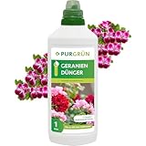 Purgrün