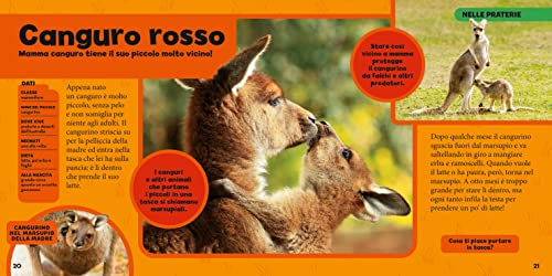 Il Primo Grande Libro Dei Cuccioli. Ediz. A Colori - 6