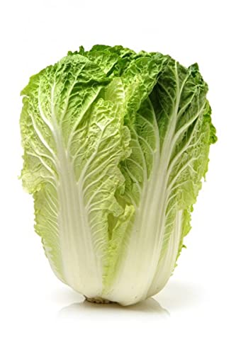 Golden Hills Farm Wong Bok Chinese Cabbage 500-526 seeds
