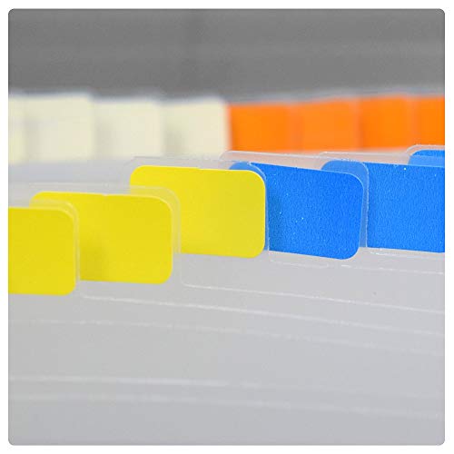 Pasta Sanfonada Economico 31Divisões Oficio Unitario, Dac, Pasta Sanfonada Economico 31Divisões Ofic