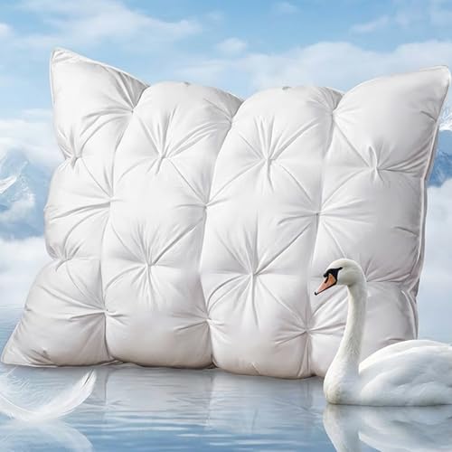 MIOTO Queen Size Luxury White Goose Down Pillow 800 Fill Power Fluffy and Soft Hotel Feather Pillow Ideal Bed Pillows for Side Sleepers Pack of 1 (Queen White)