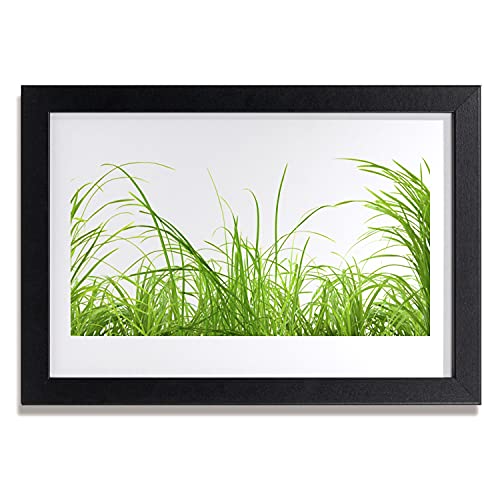 Affiche encadrée 30x20 cm faune de plante d'herbe Tulup cadre MDF salon