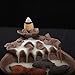 Fish Backflow Incense Burner, Handmade Ceramic Backflow Incense Cone Sticks Holder Home Decor Porcelain with Two Fish and 20 pcs Incense Cones