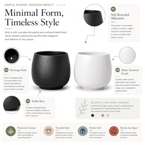 Image of Xtore 2 Pc Graceful Matte Ceramic Planter Pot for Indoor Plants & Bonsai Display | Minimal Rounded Tabletop Planter for Living Room, Desk & Window Styling (White& Black, Planters only)