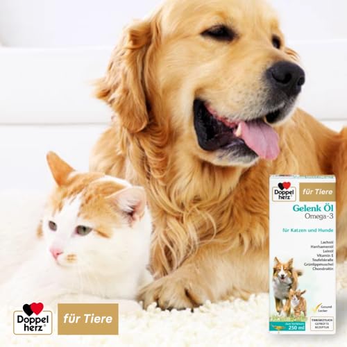 Doppelherz Gelenk Öl für Katzen und Hunde - Mit essentiellen Omega-3 Fettsäuren + Chondroitin - 250ml
