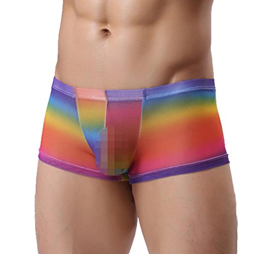 Suppion Mens Sexy Underwear Shorts Underpants Perspective Pouch Soft Briefs Panties (Multicolor, XL)
