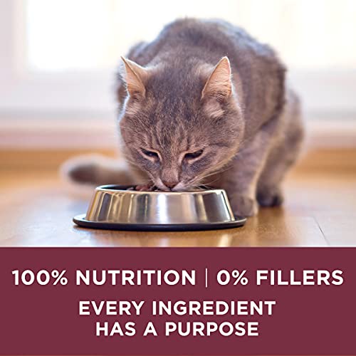 Purina ONE High Protein Urinary Tract Health Dry Cat Food, 16 lb Bag - image 8