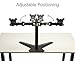 immagine 3AmazonBasics - Supporto autoportante da scrivania per 2 monitor LCD, acciaio
