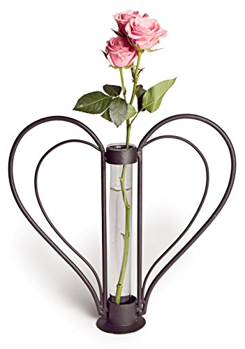 Danya B. Decorative Sweetheart Iron and Clear Glass Flower Bud Vase in Heart-Shaped Design, Gift for Wedding, Anniversary, Valentine's Day, Birthday, Celebrating Love