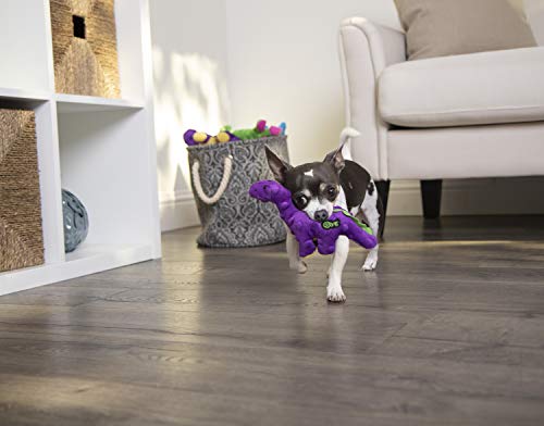 Image of goDog Just For Me Dinos Bruto Squeaky Plush Dog Toy, Chew Guard Technology - Purple, Mini