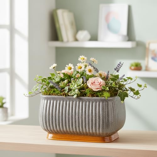 Image of Xtore Striking Textured Ceramic Bonsai Planter Pot for Indoor & Tabletop Decor | Ribbed Grey Finish with Elevated Modern Plant Styling (Pack of 1, Planter Only)