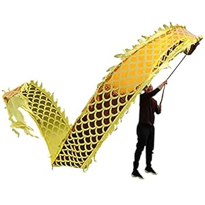 Lint Volwassen de Drakendans van de Jeugdfitness, Spelen In Parken Oefen Streamers voor Beginners, Dagelijkse Oefening…