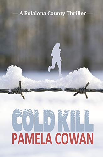 Cold Kill view 2