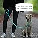 Romney’s Slip Leash Biothane Neon Pro – Hand‑Made in Germany Waterproof Adjustable Slip Lead with Pull‑Stop, Ultra‑Durable Neon Training & Hunting Leash 4.2ft (Neon-Aqua)