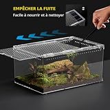 Reptile Growth terrarium PC transparent empilable 40x25x20 cm photo 5