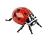 Insect Lore Ladybug Life Cycle - 4 PC Insect Figure Shows Life Of Lady Bug