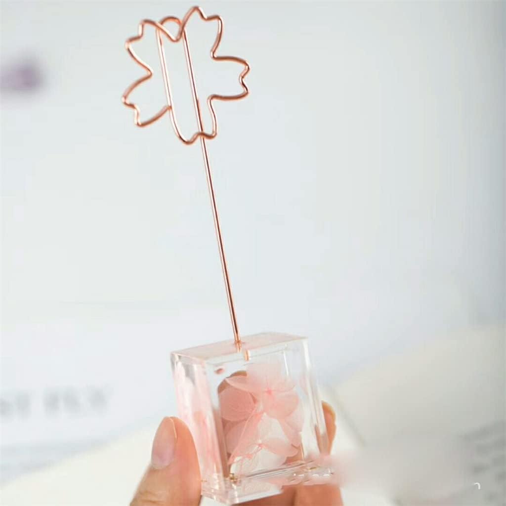 Plant Series Dried Flower Message Clip Photo Desktop Decoration Note Memo