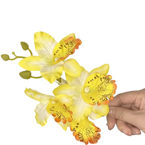 lHXC[gt[wANbv ̎qp qp ob^ t[ VrWE nhCh wAs u[wAs