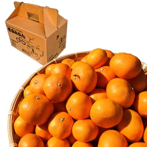 L@Lc݂ 3kg a̎RY Éʉ Óc̃I[KjbN݂ L@JASF Yn