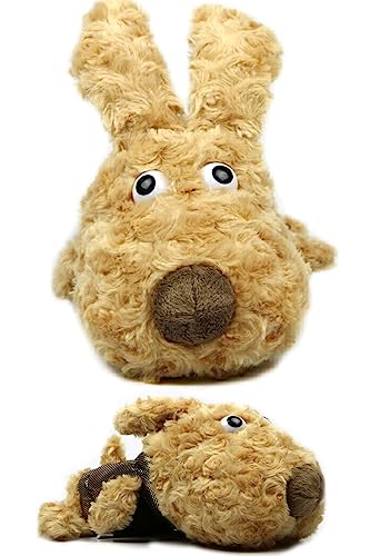 St wbhJo[ Zbg hCo[ Ebh [eBeB  LN^[  lC (ihCo[p Fj)