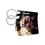 3dRose, Michigan, Detroit, Detroit Zoo, Tiger with mouth open, set of 2 Key Chains