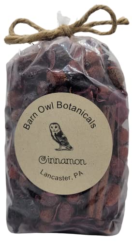 Cinnamon Potpourri Bag Bowl Filler Decoration (Half Pound) #TOP25