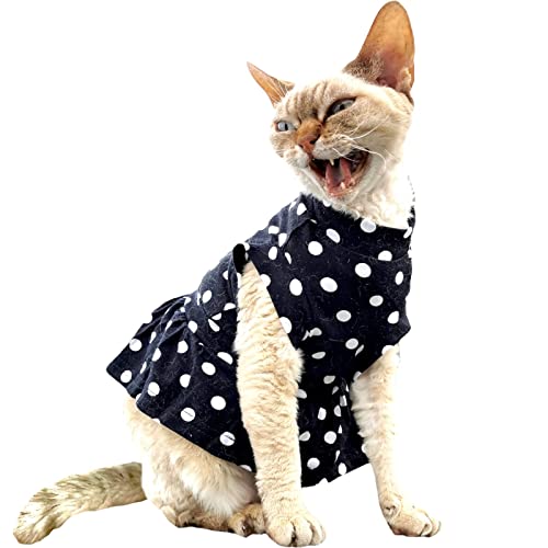 Kotomoda Cat's T-shirt Polka dot dress for Sphynx and naked cats (Medium)