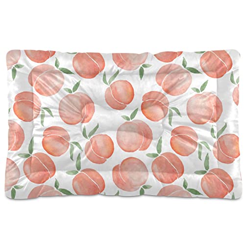 Emelivor Peaches  L xbh \ N[g ybgxbh ~ K N[g ybg q xbh}bg  ~fBA [W  Lp 18 x 24 C`