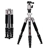 Stativ, Kamera Stative, Fotopro professionelles stativ, Reise Stativ aus Magnesiumlegierung inkl. Panoroma-Kugelkopf, Schnellwechselplatte und Stativtasche