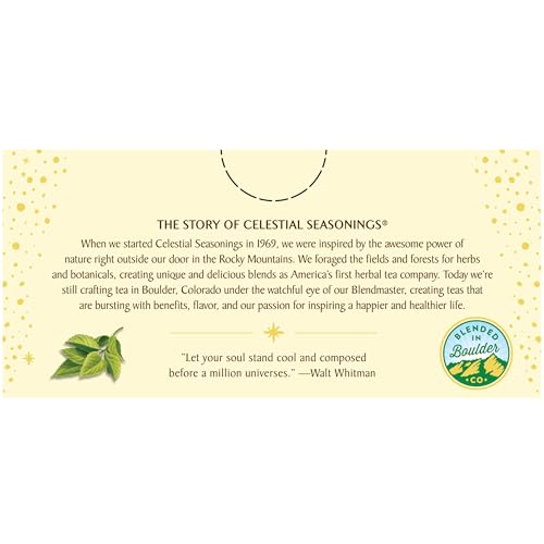 Celestial Seasonings Sleepytime Mint Herbal Tea - Caffeine Free Sleep Tea, 20 Tea Bags Per Box (Pack of 6)