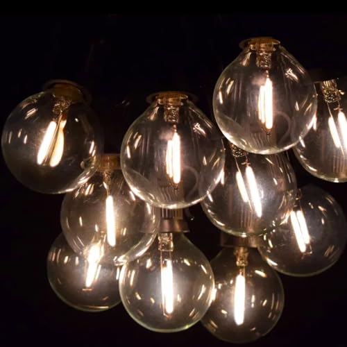 LED String Lights for Indoor/Outdoor Commercial Decor - 25Ft G40 Globe Style
