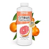 Best Time to Plant Citrus Trees in Texas: Ultimate Planting Guide 5 41Mo4g8n8GL. SL160