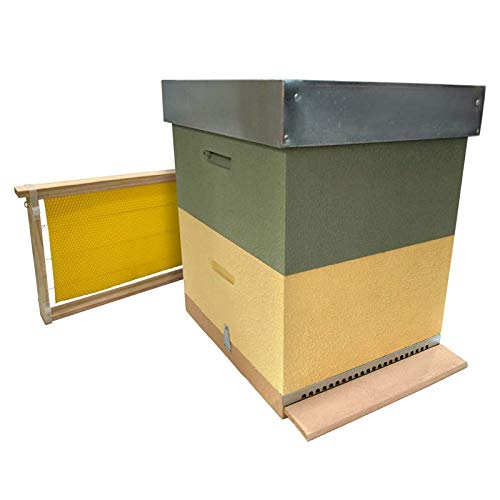 AYUMA Hive LangSTROTH Sanitary Background with Wax